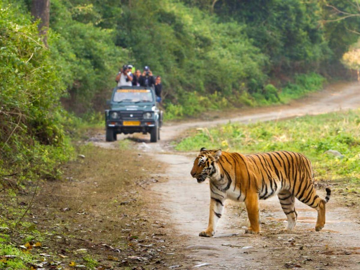 The story of Jim Corbett's unique name