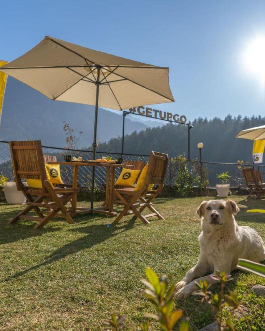 The Hosteller Manali, Old Manali